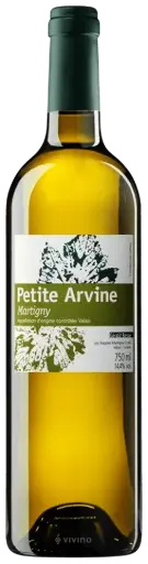 Domaine Gérald Besse, Petite Arvine Vignobles de Martigny 2024 - Valais, Switzerland