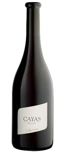 Domaine Jean-René Germanier, Cayas Syrah Réserve 2018 - Valais, Switzerland