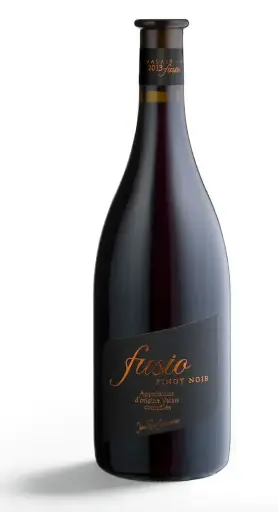 Domaine Jean-René Germanier, Fusio Pinot Noir 2022 - Valais, Switzerland
